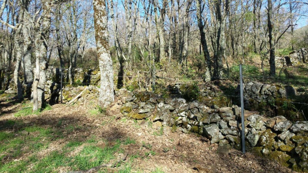 Apartamento Orgaz Candelario Zewnętrze zdjęcie